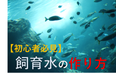 観賞魚の飼育水の作り方解説！水道水との違いは？【アクアリウム】【熱帯魚】